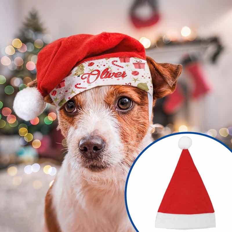 Gorros Papá Noel para mascotas